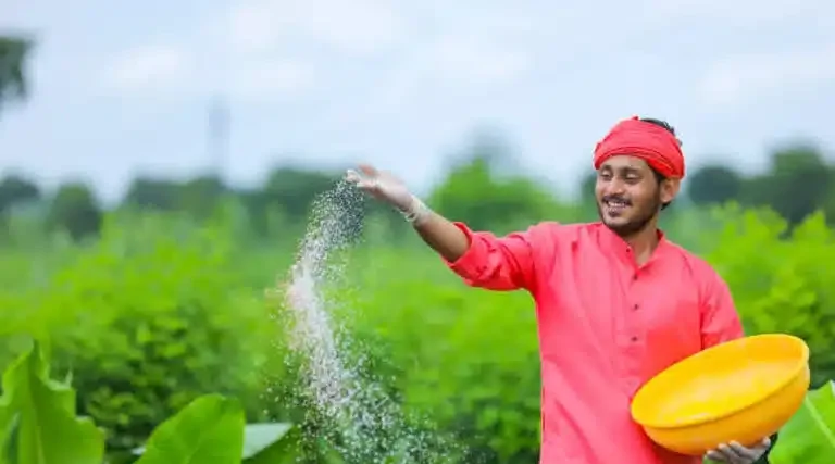 शिवपुरी- जिले में रबी विपणन वर्ष 2026-27 हेतु बनाए गए 36 पंजीयन केन्द्र