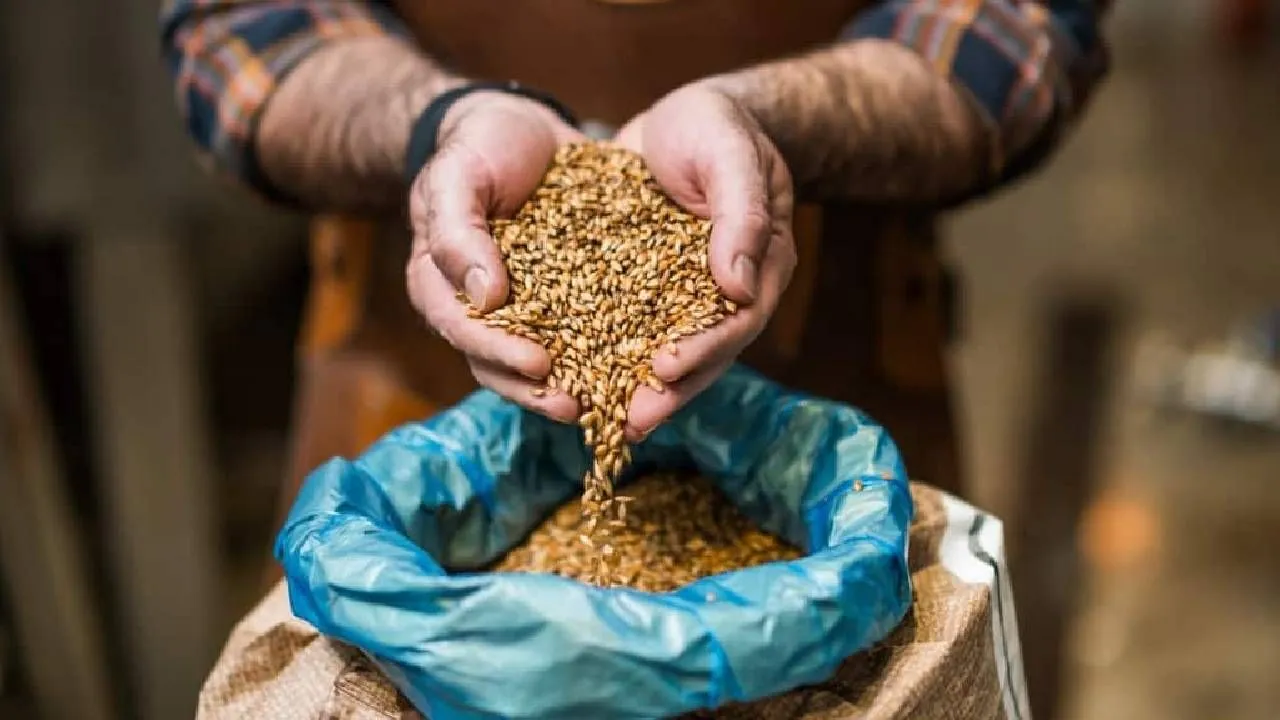 खाद-बीज की गुणवत्ता पर सख्ती: 20 साल की सजा और ₹20 लाख जुर्माने वाला कानून लाएगी राज्य सरकार